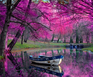 Boat pink forest pink flowers - calm free wallpaper