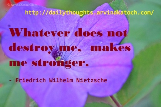 Purple flower quote friedrich says - anthony devas free wallpaper