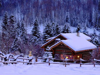 Cabin in the woods snow - the wood free wallpaper