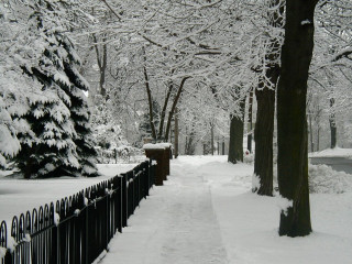 Snowy path fence trees street - a red light free wallpaper