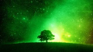 Lone tree field green yellow - art green free wallpaper for desktop