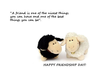 Stuffed sheep facing happy friend - stuffed free wallpaper