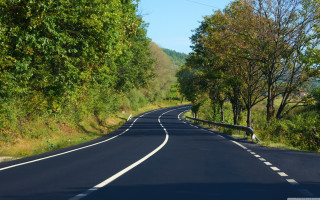 Curved road trees sign middle - edi rama free wallpaper