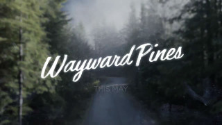 Wayward pines sign foggy forest - beeple free wallpaper