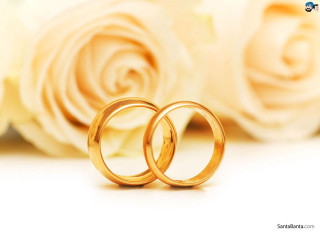 Gold wedding rings bouquet roses - a bouquet of flowers free wallpaper