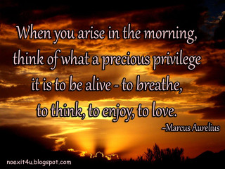 Sunset quote marcus aurelius inspiration - cassius marcellus coolidge free wallpaper for desktop