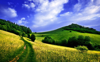 Grassy field path hill trees - a dirt path free wallpaper