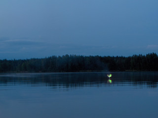Water forest night person standing - a forest in the background free wallpaper