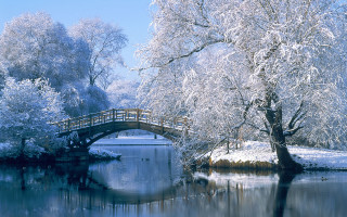 Bridge river snow covered tree 2 - art free wallpaper