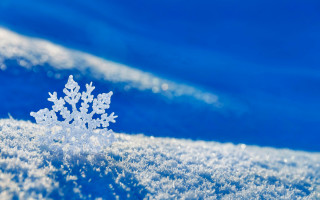 Snowflake blue background white snowflakes 2 - a snowflake free wallpaper