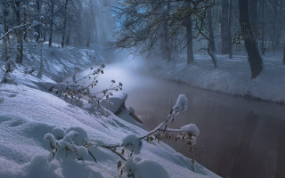 River snow forest trees bushes - evgeny lushpin free wallpaper