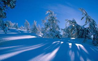 Snow covered hill trees blue - free winter wallpaper