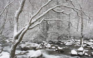 Snowy stream forest rocks ice - alson s. clark free wallpaper