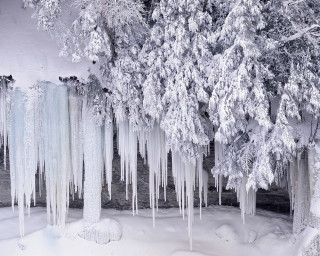 Trees ice icicles snow river - a group of trees free wallpaper