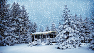 Cabin snowy forest trees snow 2 - evgeny lushpin free wallpaper