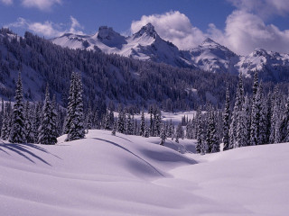Snowy mountain trees snow blue - cloud above free wallpaper