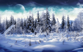 Snowy landscape trees moon sky - space art free wallpaper