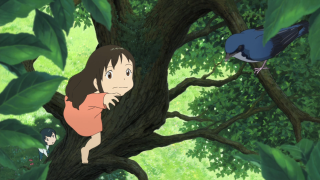 Girl tree branch bird flying - ghibli free wallpaper