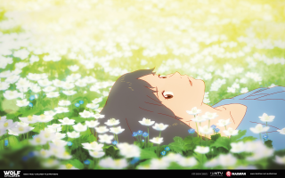 Woman laying field flowers eyes - her chest free wallpaper for desktop