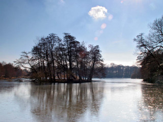 Lake trees blue sky clouds 8 - lake free wallpaper for desktop