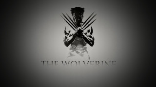 Man holding wolverine logo chest - bradley walker tomlin free wallpaper
