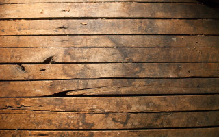 Wooden plank bird side bird 2 - texture free wallpaper