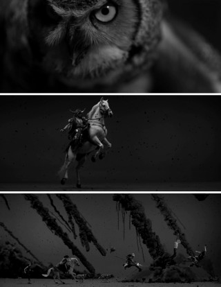 Cat riding horse black white - carol bove free wallpaper