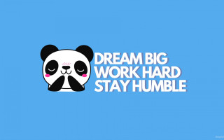 Panda sad face dream big - eiichiro oda free wallpaper for desktop