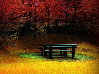 Bench field trees red sky - a red sky in the background free wallpaper