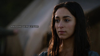 Woman long hair quote vein - the side of her face free wallpaper