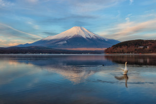 Swan mountain reflection sunset water - peak in the distance free wallpaper