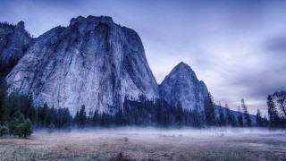 Mountain foggy field trees foreground - a foggy sky in the background free wallpaper for desktop