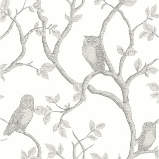 Owls tree branch leaves background - a tree branch free wallpaper for tablet