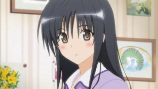 Girl black hair purple shirt - a purple shirt free wallpaper