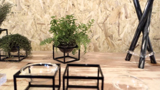 Table plants stone wall indoor - a stone wall behind free wallpaper