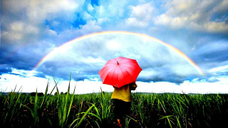 Person holding red umbrella field - a rainbow in the background free wallpaper for desktop
