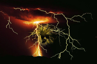 Lightning storm bird dark sky - a dark sky behind free wallpaper