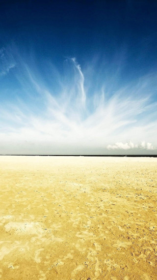 Lone horse vast field blue - andreas gursky free wallpaper for mobile