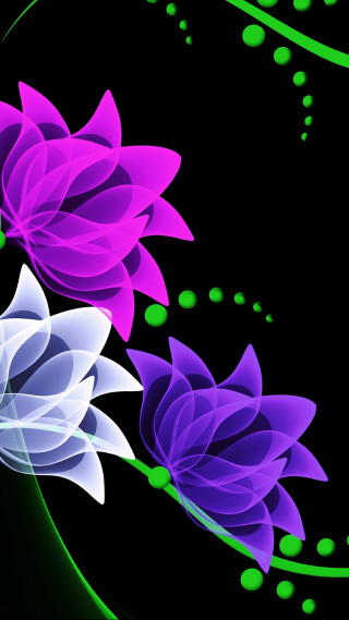 Flower black background green swirls - a picture of a flower free wallpaper
