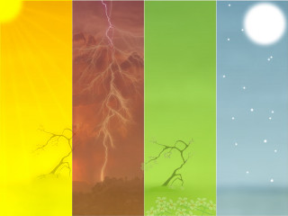 Tree sky sun branch color - a series free wallpaper