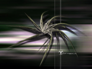 Plant long thin stem blurry - thin free wallpaper for desktop