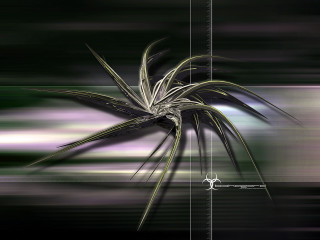 Plant long thin stem blurry 2 - thin free wallpaper for desktop