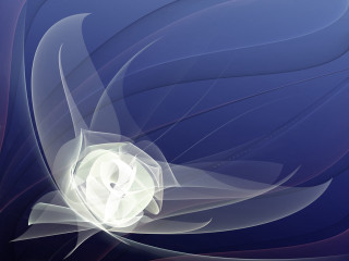 White flower blue background white 2 - a white swirl free wallpaper for desktop