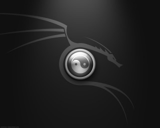 Black silver dragon logo black - the left side of the image free wallpaper