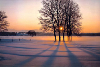 Snowy field trees sunset clouds 5 - a snowy field free wallpaper