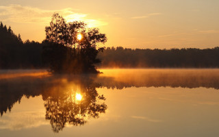 Lake tree sunset fog water 4 - a tree in the middle of it free wallpaper