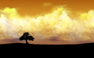 Lone tree field cloudy sky 4 - a lone tree in the foreground free wallpaper for desktop