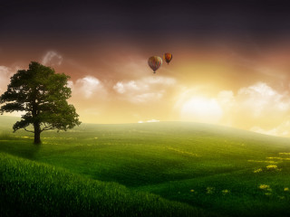 Green field tree hot air - hot air balloon free wallpaper