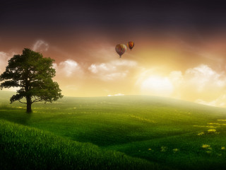 Green field tree hot air 2 - hot air balloon free wallpaper