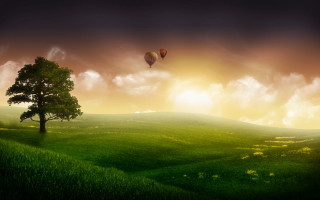 Tree hot air balloon sunset 5 - a hot air balloon free wallpaper